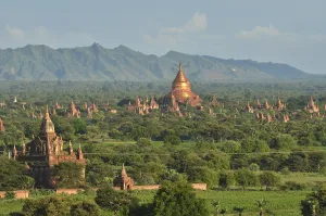 Pagoda field, Buddhist pagodas