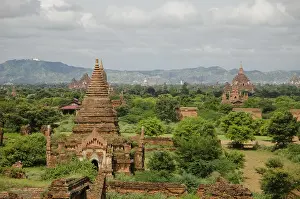 Pagoda field, Buddhist pagodas
