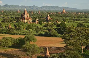 Pagoda field, temples, Zedi, Old Bagan