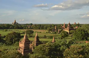 Pagoda field, temples, Zedi, Old Bagan