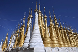 Pagoda Forest, restored stupas
