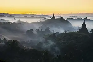 Pagodas surrounded by trees, in the mist