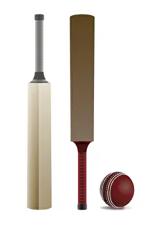 A pair of cricket bats and a ball isolated on white