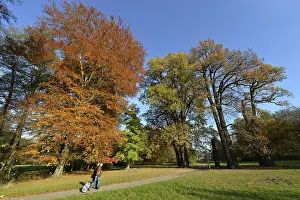 Palace gardens, Buch, Berlin, Germany