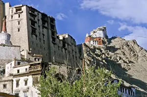 Palace and Gompa overlooking Leh