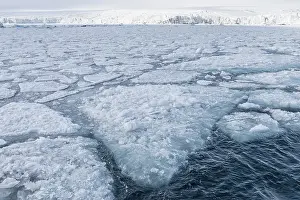 Palanderbukta Bay, Packeismuster