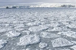 Palanderbukta Bay, Packeismuster