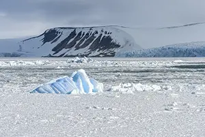 Palanderbukta, Icecap and pack ice