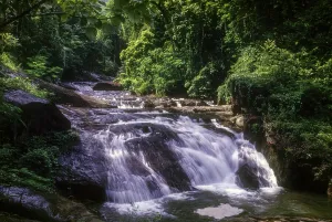 Palaruvi Waterfalls at Ariankavu