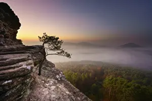 Palatinate Forest, dawn, fog, Roetzenfels