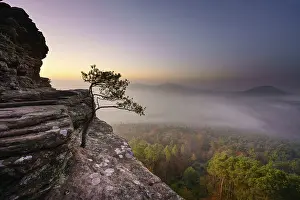 Palatinate Forest, dawn, fog, Roetzenfels