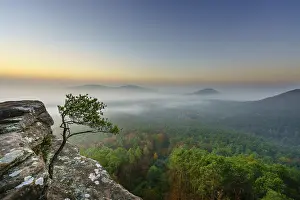 Palatinate Forest, dawn, fog, Roetzenfels