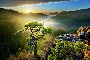 Palatinate Forest, Evening mood, Dahner Felsenland, Palatinate, Rhineland-Palatinate, Germany, Europe