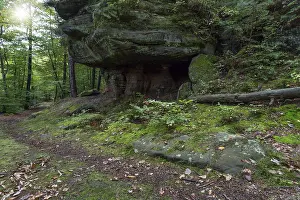 The Palatinate Forest in late summer