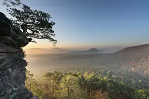 Palatinate Forest, morning mood