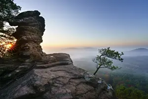 Palatinate Forest, sunrise, fog