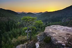 Palatinate Forest, Sunset, Dahner Felsenland