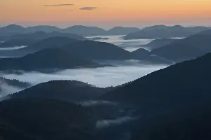 Palatinate Forest, from Wegelnburg castle ruins