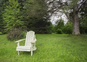 Pale green adirondack chair in pine forest