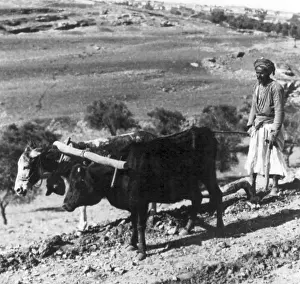 Palestine (Arabic: فلسطين‎ Filasṭīn)