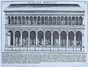 The palestra and gymnasium of the gymnasium
