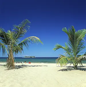 Palm beach near Kande on Lake Malawi