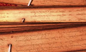 Palm leaf manuscripts are made out of dried palm leaves