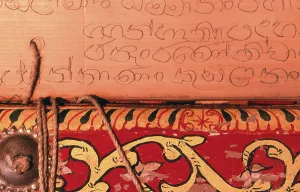 Palm leaf manuscripts are made out of dried palm leaves
