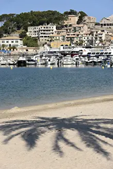 Palm tree on the beach, bay and harbour of Puerto Soller