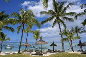 Palm tree, cloud, sky, sea, sandy beach