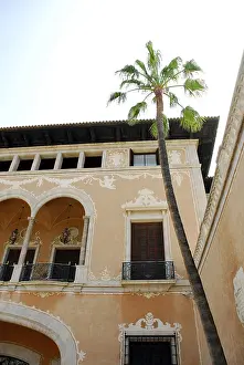 Palm tree in a courtyard, March Palace