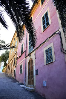 Palm tree, house with pink facade in Deia