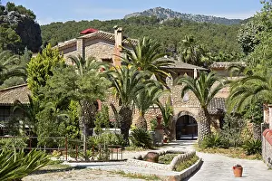 Palm trees at the entrance to Hotel Finca Ca N'Ai