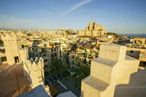 Palma Cathedral from La Lonja. La Llotja