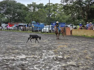 Panama, Dolega town, November 11