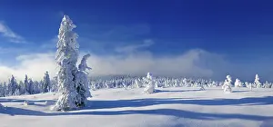 Panorama, deep snow-covered unspoilt winter landscape
