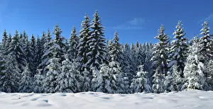 Panorama, deep snow-covered untouched winter landscape
