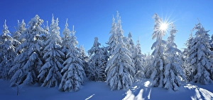 Panorama, deep snow-covered winter landscape at the Fichtelberg