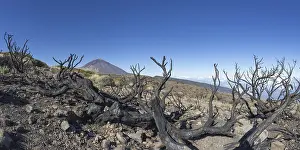 Panorama from the east over the Teide National Park
