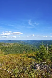 Panorama Hornisgrinde mountain