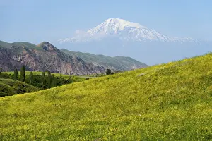Panorama with snow-covered mountain in the background