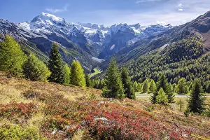 Panorama of the valley with Ortler 3905m and Trafoier ice wall 3565m in early autumn