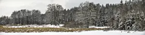 Panorama of the winter forest after first winter snow