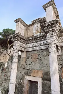 Panoramablick auf das Forum Romanum