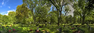 Panoramic photo at the main cemetery in Frankfurt am Main with graves
