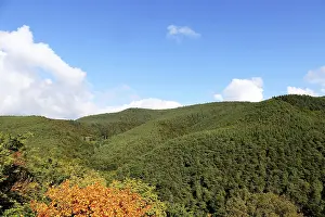 Panoramic picture of the Palatinate Forest in autumn
