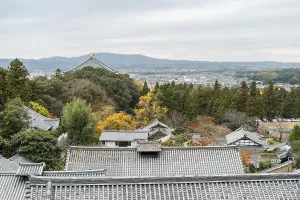 Panoramic view of Nara park traditional temple at autumn in Nara