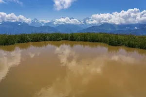 Panoramic view of the Swiss Alps