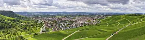 Panoramic view of a village with extensive green vineyards in the foreground