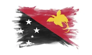 Papua New Guinea flag brush stroke
